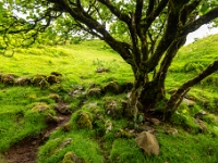 Isle of Skye, The Fairy Glen